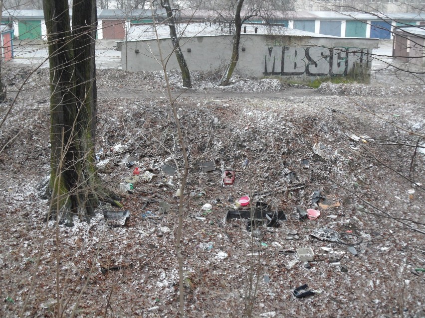 Zaśmiecony park Redena w Tarnowskich Górach [ZDJĘCIA]