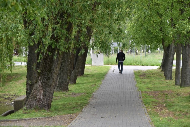 Weekend w Śremie: mieszkańcy spacerują nad jeziorem i w parku Odlewnika