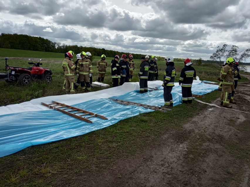 Gmina Miłoradz. Strażacy z PSP i OSP ćwiczyli nad Wisłą [ZDJĘCIA]. Sprawdzili się na wypadek powodzi