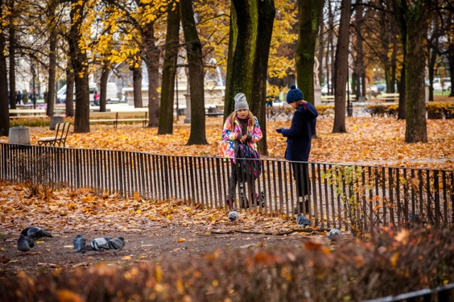 Nie ma lepszej zabawy od bitwy i tarzania się w złocistych liściach! Podczas wspólnej przechadzki możecie też pozbierać kasztany, aby później w domu wyczarować z nich śmieszne ludziki. Na wspólny spacer polecamy przepiękny park Morskie Oko, park Dreszera albo Królikarnię.