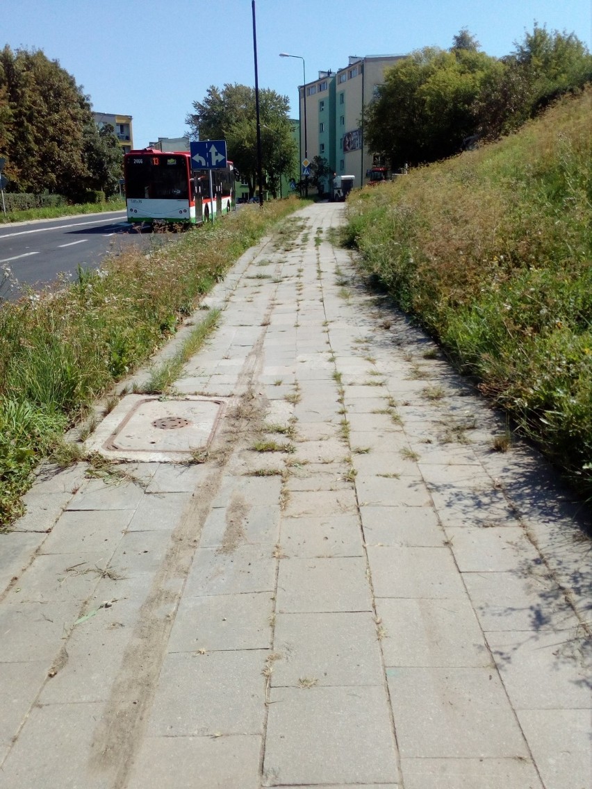 Na ul. Popiełuszki mają zarośnięte chodniki. Interweniował mieszkaniec Wieniawy 