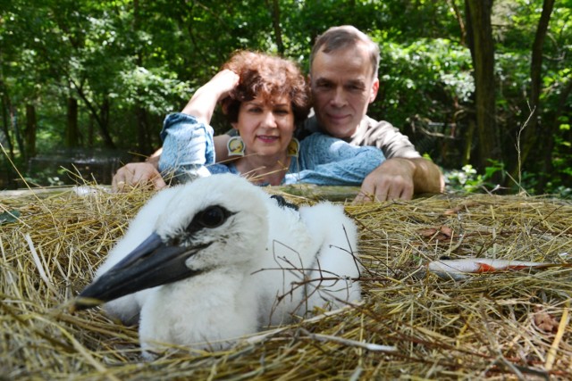 Gabriela i Mariusz Rosikowie wiedzą, jak dbać o dzikie zwierzęta i nigdy nie odmówią pomocy.