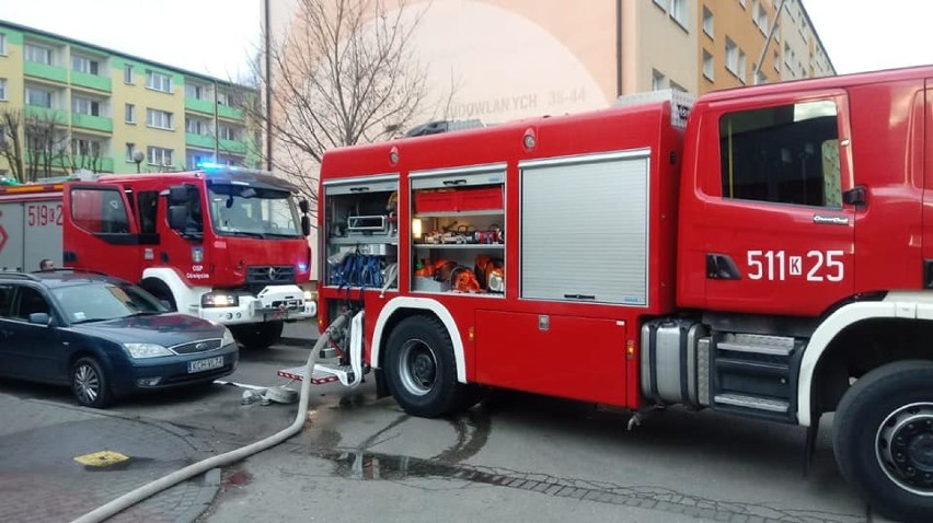 Na ulicy Budowlanych w Oświęcimiu spłonęły dwa samochody dostawcze