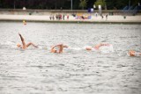 Pływanie: Ponad 18 km z Helu do Gdyni wpław. W zawodach wystartują czołowi pływacy na świecie [FOTO]
