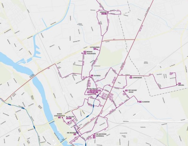 Według projektu autobusy linii 120 dojadą do stacji metra Trocka, zapewniając połączenie z II linią metra mieszkańcom wielu osiedli wschodniej Białołęki. Z ulicy Trockiej pojadą dalej – trasą zmienioną – ale tak jak dotychczas, do ulicy Targowej i Dworca Wschodniego.

Proponowany przebieg trasy:
OLESIN – Kobiałka – Mochtyńska – Zdziarska – Kąty Grodziskie – L. Berensona – Głębocka – św. Wincentego – Borzymowska – Trocka – Radzymińska – gen. T. Rozwadowskiego – Księcia Ziemowita – Naczelnikowska – Radzymińska – Ząbkowska – Targowa – Kijowska –  DW. WSCHODNI (KIJOWSKA).

Kursy skrócone:
Proponowany przebieg trasy dodatkowych kursów skróconych:
GRODZISK – L. Berensona – Oknicka – Lewandów – Głębocka – św. Wincentego – Borzymowska – Trocka – METRO TROCKA.

Autobusy na obydwu trasach będą kursowały co 20 minut, czyli na wspólnym odcinku trasy będą podjeżdżały na przystanek co 10 minut.