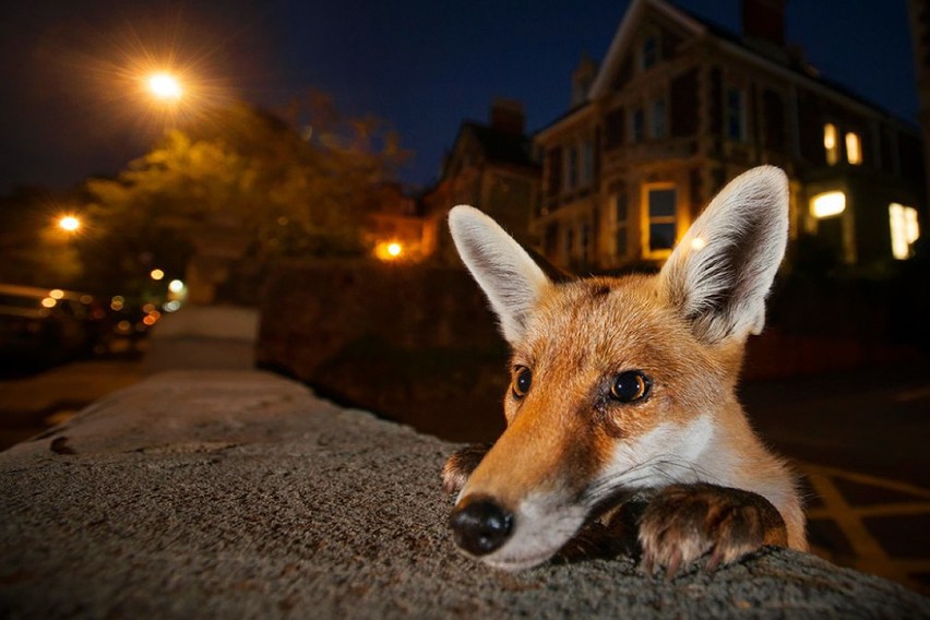 To nie Photoshop. Tak wygląda natura!