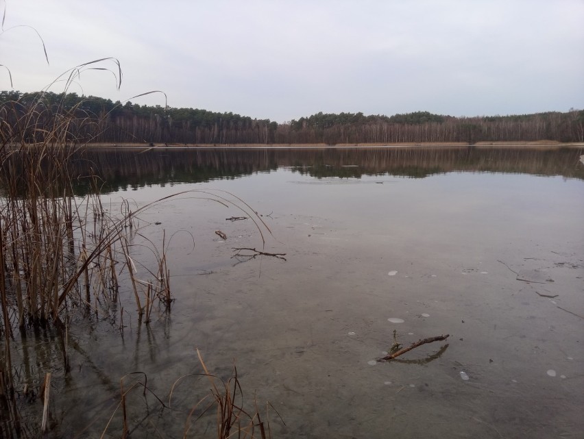 Grudniowe spacery wokół Jelonek. Pogoda sprzyja [ZDJĘCIA]