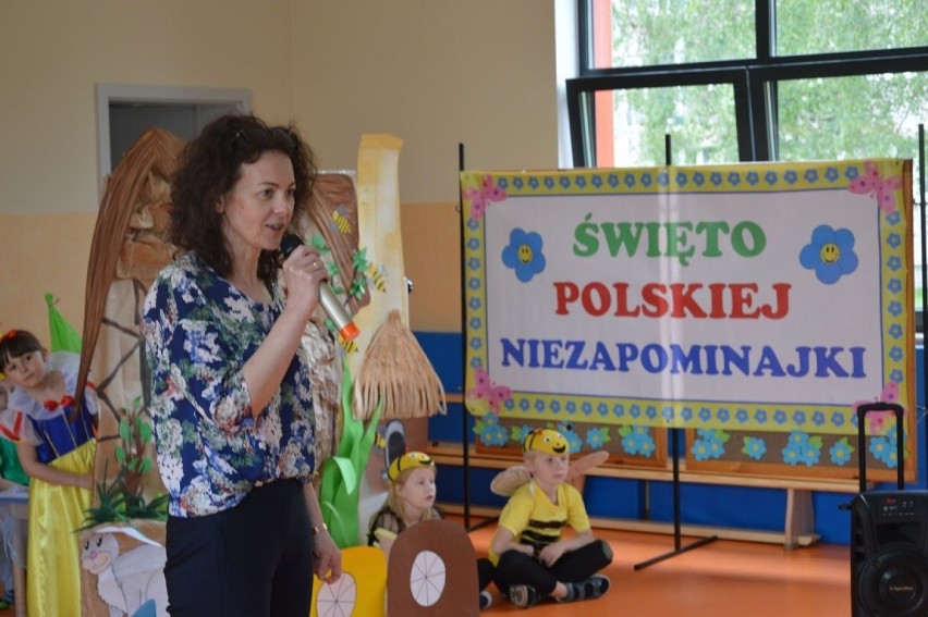 Święto Polskiej Niezapominajki w Przedszkolu nr 3 w Skierniewicach [ZDJĘCIA]