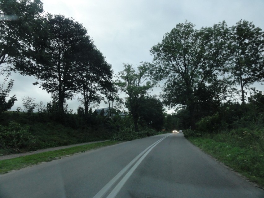 Powalone drzewa na trasie Sierakowice - Gowidlino 12.08.2017