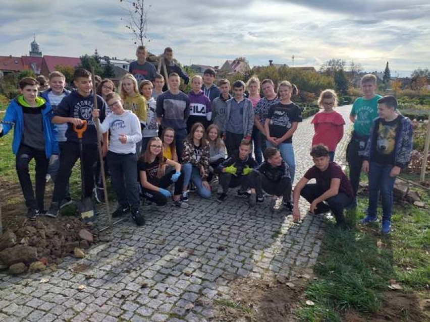 INWESTYCJE: W Sulmierzycach posadzono 56 nowych sadzonek drzew [ZDJĘCIA]