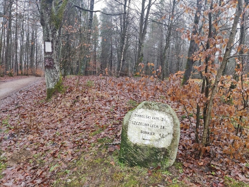 Atrakcyjn ścieżka turystyczno-historyczna "Tajemnice Lasów...