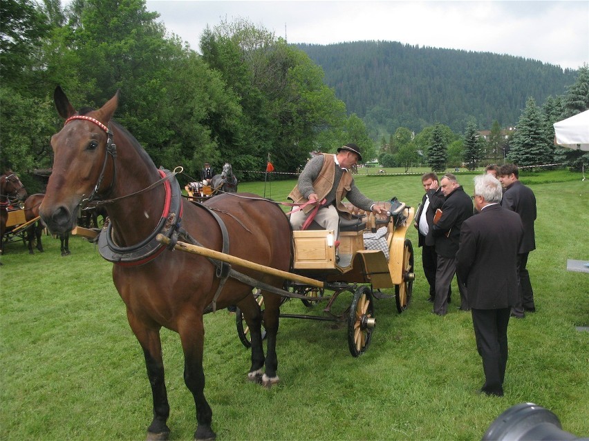 Zakopane: góralskie dorożki są w pełni sprawne [FOTO]