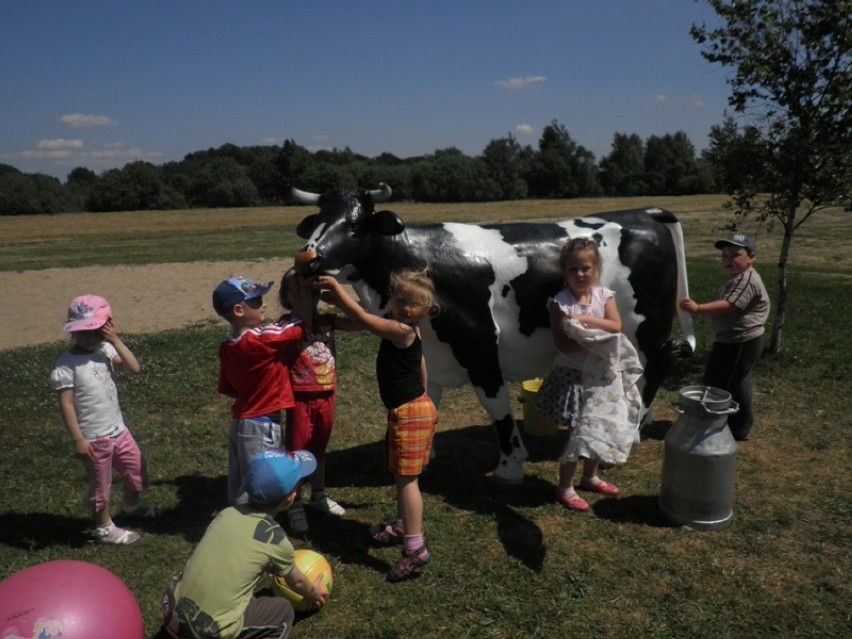 Przygotowania dzieci do dojenia krowy