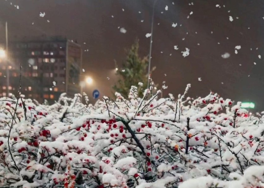 W Głogowie i okolicy spadł pierwszy śnieg tej jesieni