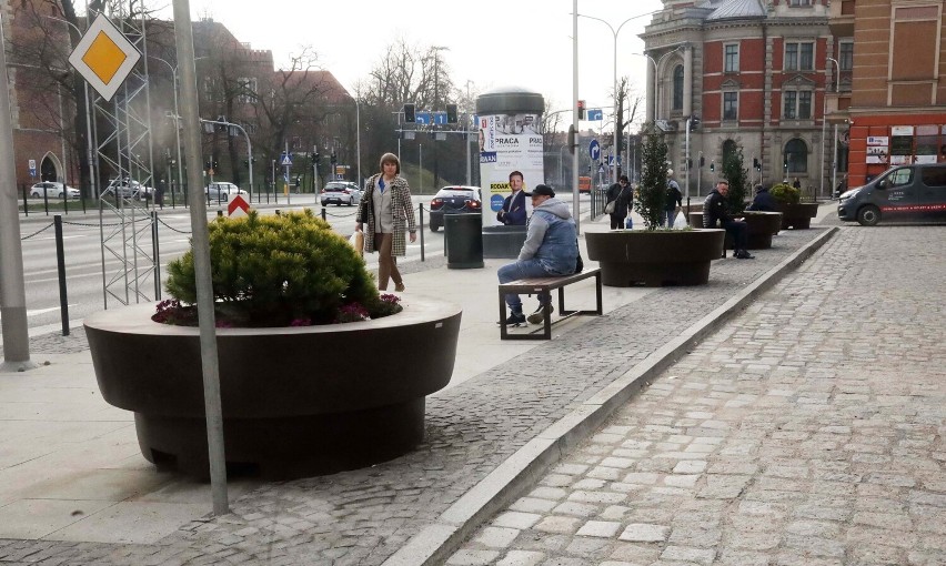 Pojawiły się nowe mobilne ogrody miejskie przy ulicy Pocztowej w Legnicy, zdjęcia