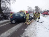 Wypadki w gminach Miłoradz i Stare Pole. Kierowcy ranni po tym, jak wjeżdżali w drzewa