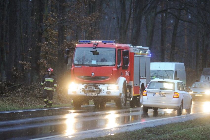 Zderzenie trzech aut na krajowej 12 obok Karczmy Borowej