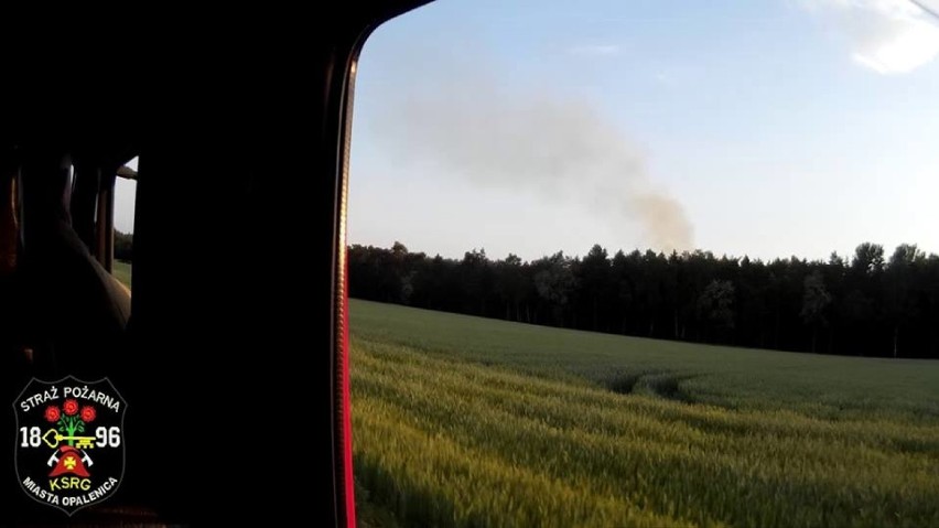 Groźny pożar lasu w okolicach Sielinka