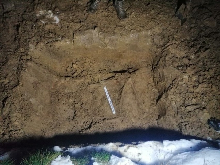 Na polach w Hnatkowicach odnaleziono szczątki węgierskiego...