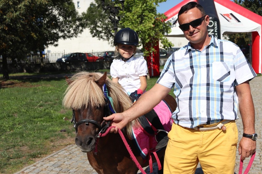 Towarzyskie Zawody Jeździeckie w Gnieźnie