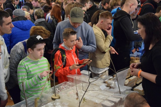 Pytony i ptaszniki w Centrum Kultury Śląskiej