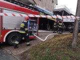 Częstochowa: Pożar lokalu gastronomicznego na ulicy Dekabrystów [ZDJĘCIA] Trwa akcja strażaków