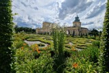 Piękny pokaz roślin orientalnych w Warszawie. Lilie, oleandry i gorzkie cytryny zakwitły w królewskich ogrodach. Tak jest na miejscu