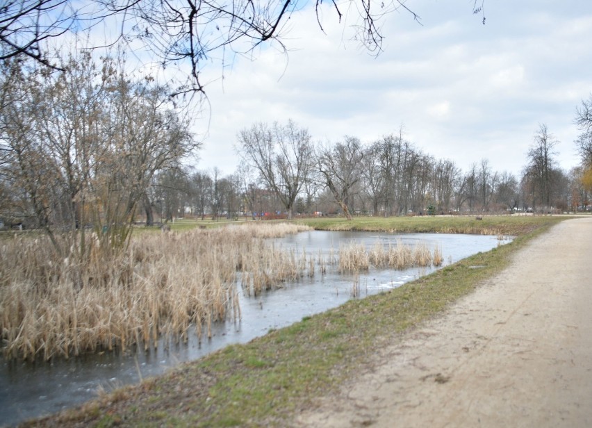 Stary Ogród to najstarszy park w Radomiu. Znajduje się...