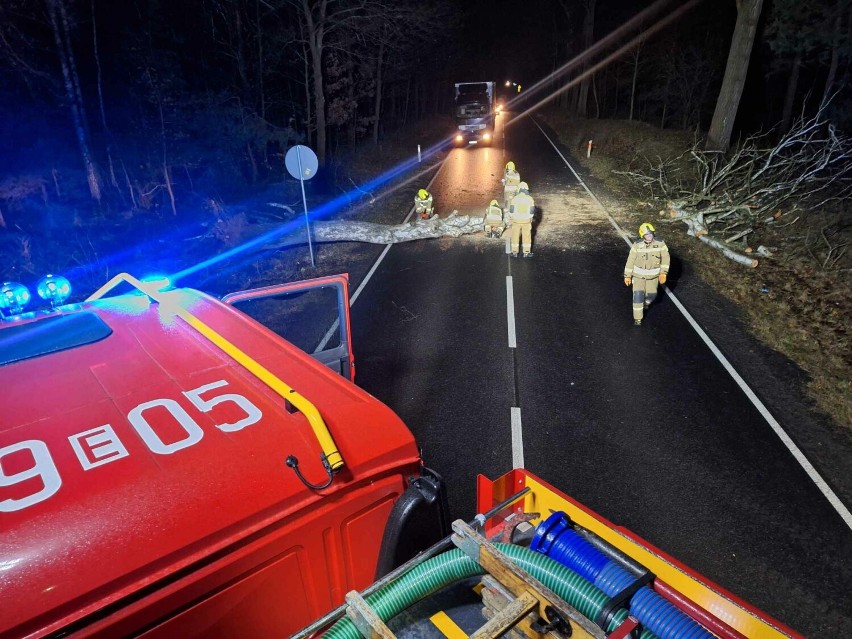 Silny wiatr łamał drzewa. Interwencje strażaków z Radomska i powiatu radomszczańskiego