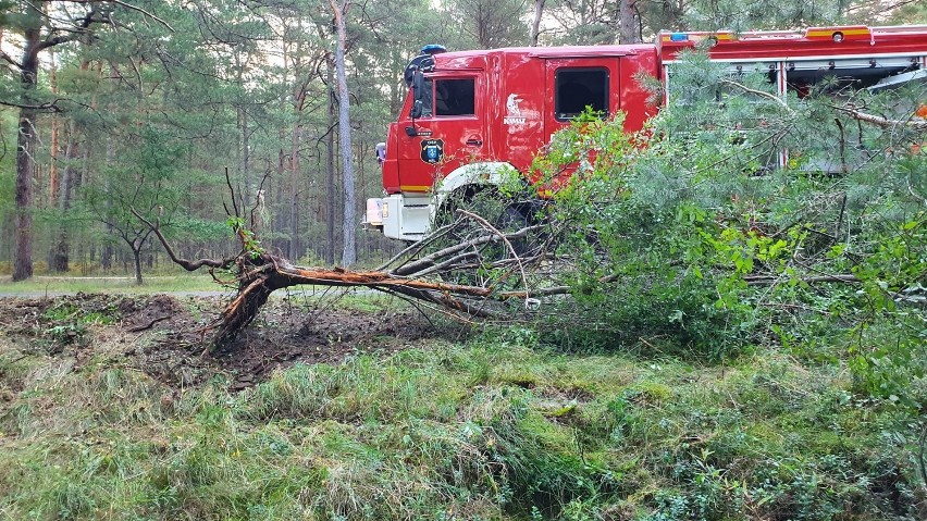 Wypadek na trasie Jurata-Hel (05.09.2019)