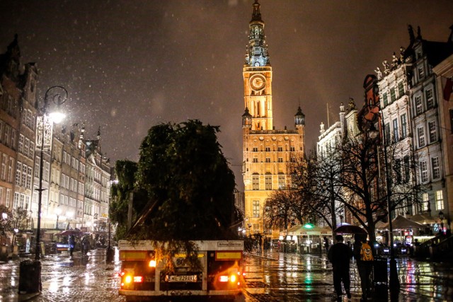 Gdańska Choinka rozbłyśnie 5 grudnia