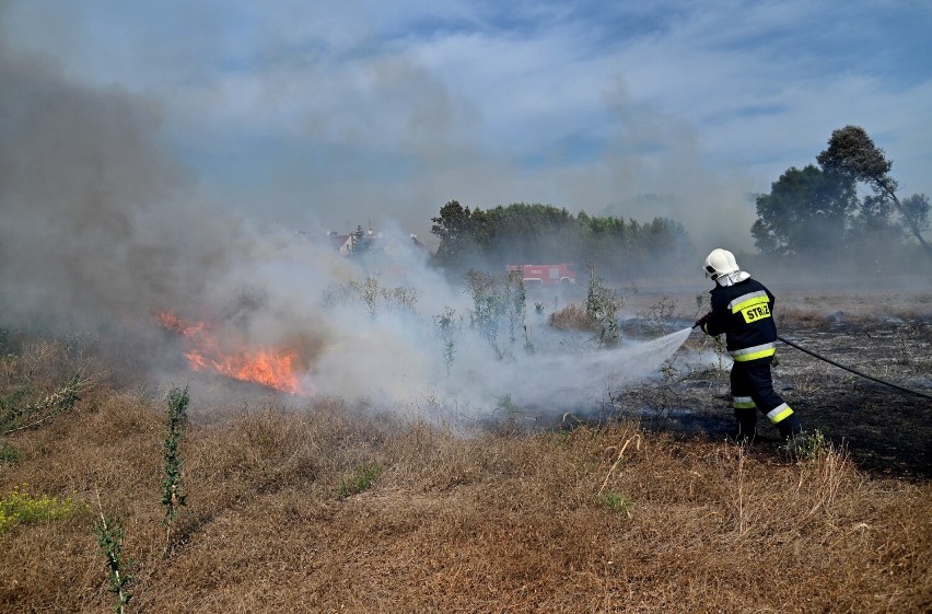 Pożar pola pod Szczecinem. Strażacy kontra żywioł [ZDJĘCIA]