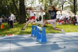 Piknik Olimpijski 2019. Polscy medaliści olimpijscy i mnóstwo sportowych atrakcji w parku Kępa Potocka [ZDJĘCIA, WIDEO] 