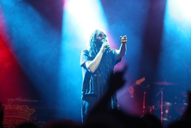 Koncert Alborosie we Wrocławiu