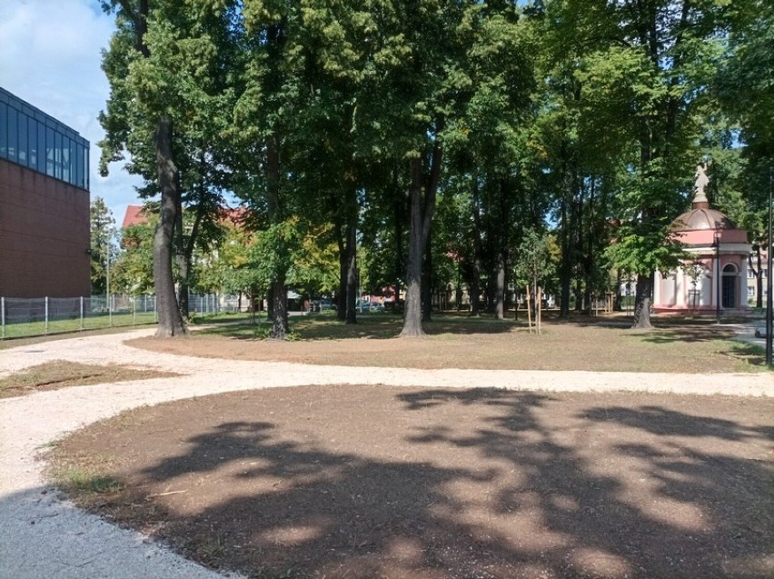 Rewitalizacja Parku Miłośników Dzierżoniowa