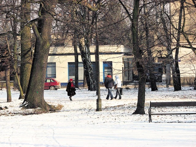 Park im. Juliusza Słowackiego jest jednym z dwóch w Pabianicach.