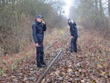 Straszyn: Kradł podkłady kolejowe