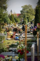 Wałbrzych: Złodzieje na cmentarzu