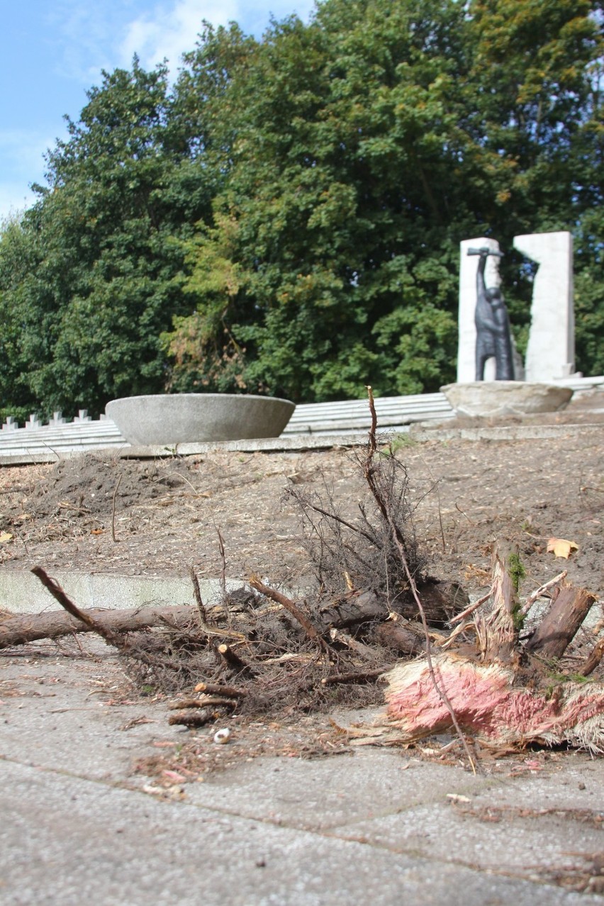Ruszyła rewitalizacja puławskiego cmentarza (zdjęcia)