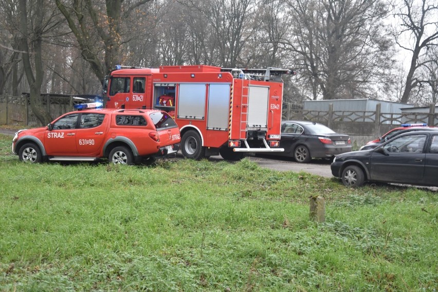 Zawalił się budynek chlewu pod Mieściskiem. Nie żyje mężczyzna, na którego spadł strop [ZDJĘCIA]