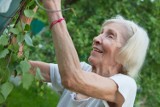 Gospodarstwa opiekuńcze dla seniorów. Resort rolnictwa chce je upowszechniać w Polsce