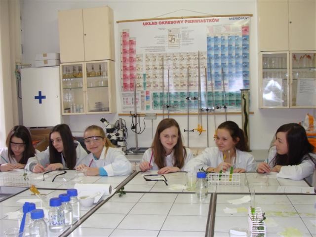 Uczniowie Gimnazjum nr 1 w Strzegomiu podczas zajęć w Myśliborzu