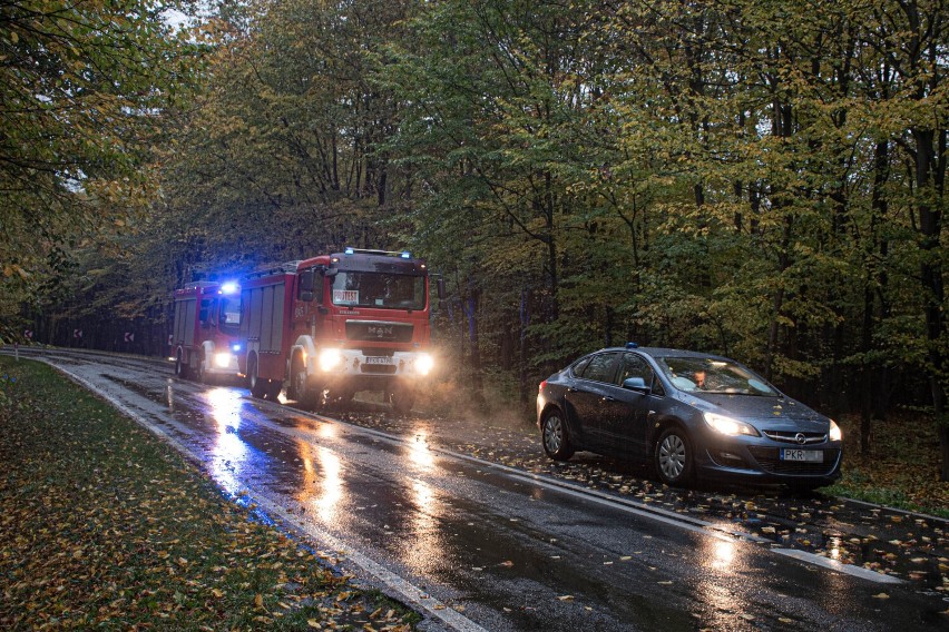 AKTUALIZACJA: Samochód wypadł z drogi w Sulmierzycach. Kierowcę ukarano mandatem [ZDJĘCIA]