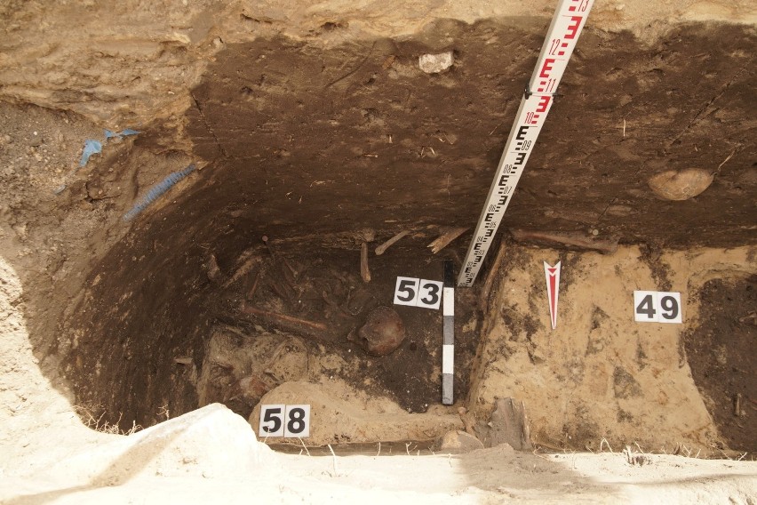 Bielsk Podlaski. Ludzkie szczątki przy budowie gazociągu.  Archeolodzy zbadali teren (ZDJĘCIA)  