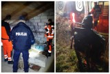 Nie jadł i nie pił od kilku dni. Miał odmrożone nogi. Po interwencji policji, 65-letni bezdomny trafił do szpitala