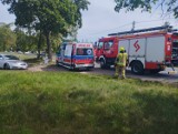Do wypadku doszło w Poddębicach. Poszkodowany kierowca osobówki, które uderzyło w przydrożne drzewo ZDJĘCIA