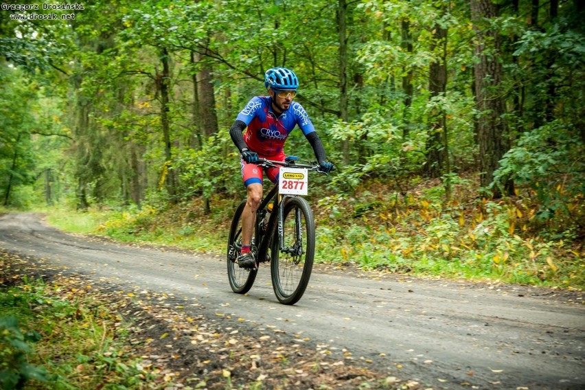 Finał Maratonów Rowerowych Lang Team w Kwidzynie. Atrakcyjna, ale i wymagająca trasa [ZDJĘCIA CZ. 2]