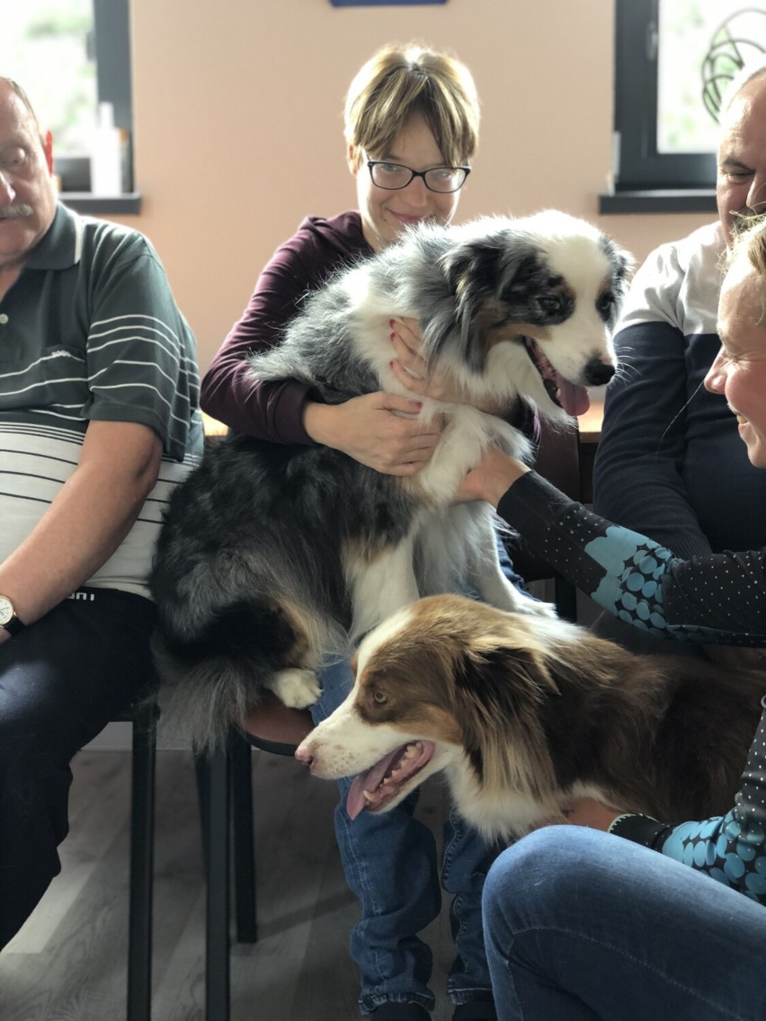 Młodzież z CKiW odwiedziła Danuta Przybylska ze swoimi psami, które służą do dogoterapii. Wspólnie udali się na wizytę do podopiecznych Środowiskowego Domu Samopomocy