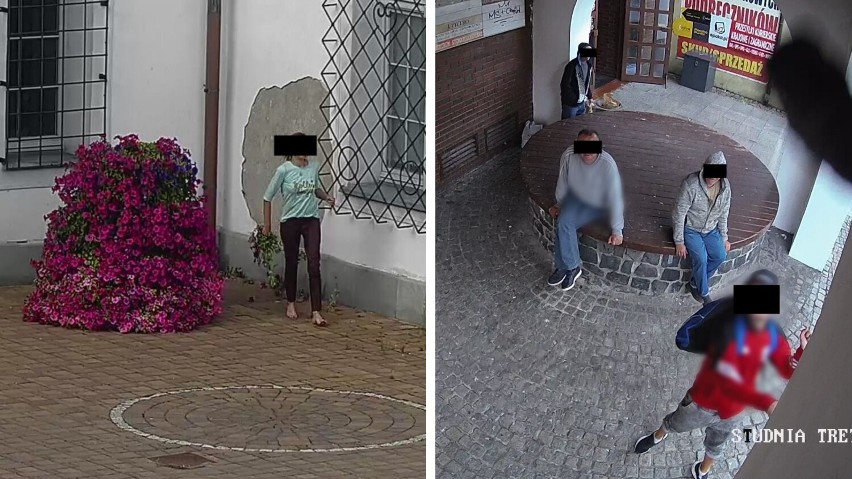 Straż miejska w Lubaniu opublikowała zdjęcia z monitoringu. Internauci reagują: "zróbcie coś z plagą żuli"