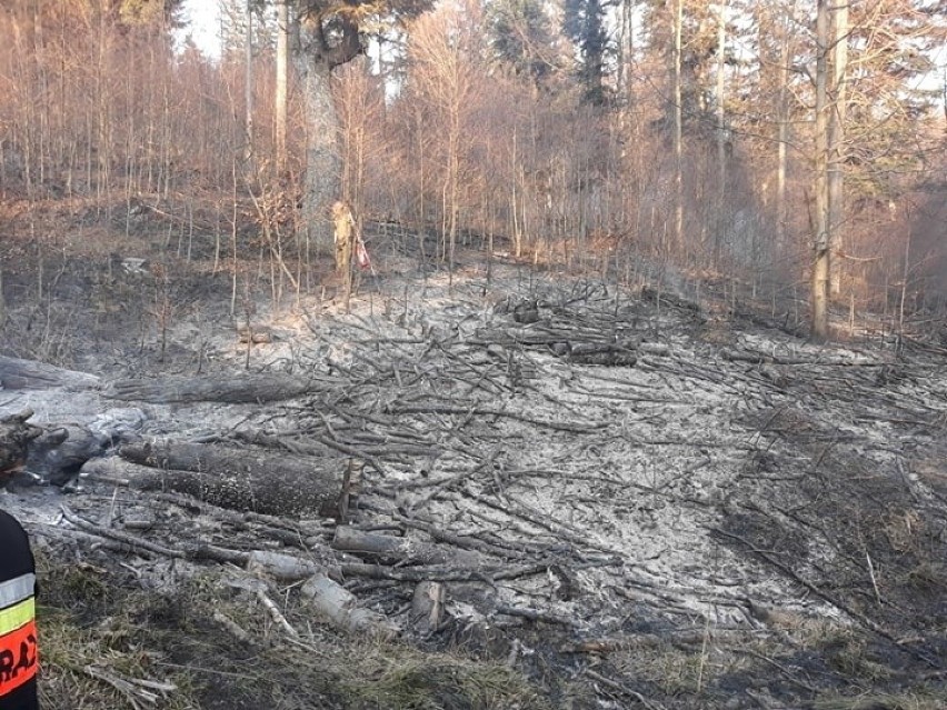 Groźny pożar lasu w Bieszczadach - na terenie leśnictwa Chmiel w pasmie Otrytu. Gasiło go kilkudziesięciu strażaków i leśników [ZDJĘCIA]